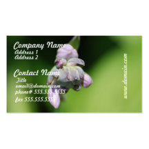 Hosta Buds Business Cards