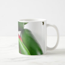 Hot Cihilis Coffee Mug