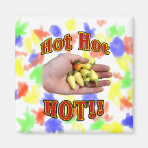 Hot Hot HOT White Habanero Peppers in Hand Fridge Magnets
