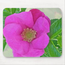 Hot Pink Beach Rose Coordinating Items Mousepad