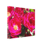 Hot Pink Fuchsia Shrub Roses Photograph on Canvas Canvas Prints