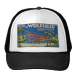HOTEL WOLFHEZE OOSTERBEEK HOLLAND HAT