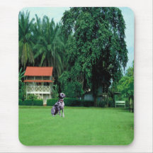 House & field landscape on a mousepad