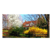 House on the Hill in Spring Picture Card