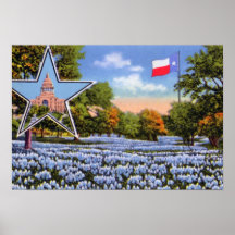 Houston Texas Blue Bonnets with Flag Posters