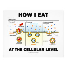 How I Eat At The Cellular Level (Endocytosis) Personalized Invite