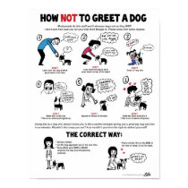 How Not To Greet A Dog (11" x 14") Kid-Friendly posters