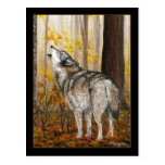 Howling wolf postcard