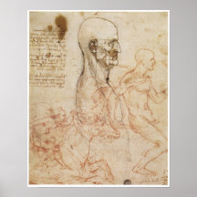 Human Head & Horseman, Leonardo da Vinci Posters
