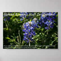 Human Resource Staff Development Blue Bonnets Print