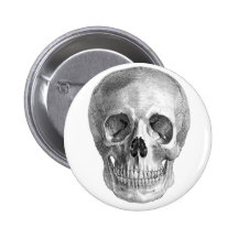 Human skull anatomy sketch drawing pinback buttons