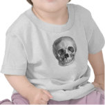 Human skull anatomy sketch drawing t-shirts