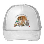 Humane Society All God's Creatures Animal Support Hat