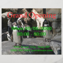Humboldt Penguin Full Color Flyer