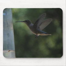 Humming Bird in Mid Air Mouse Pad
