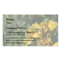 Humming Birds Flying Hovering Business Card Templates