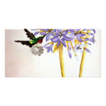 Hummingbird and Flowers Personalized Photo Card