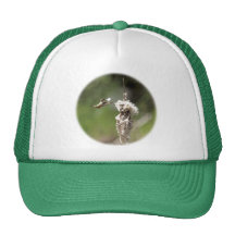 Hummingbird Building a Nest Mesh Hat