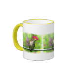 Hummingbird Coffee Mugs