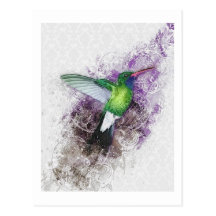 Hummingbird Dreams Postcard