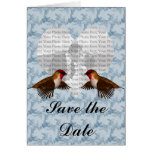 Hummingbird Floral Blue Cards