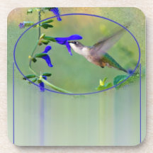 Hummingbird Lunch Beverage Coasters