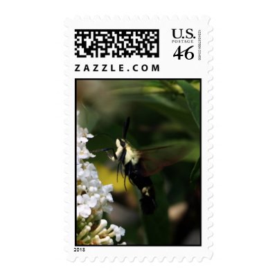 Hummingbird Moth Stamp by MyBackyard