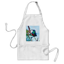 Hummingbird ruby throated aprons