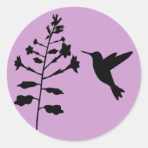 Hummingbird Sticker