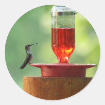 Hummingbird stickers