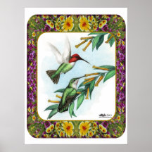 Hummingbirds and Flowers #4 Posters