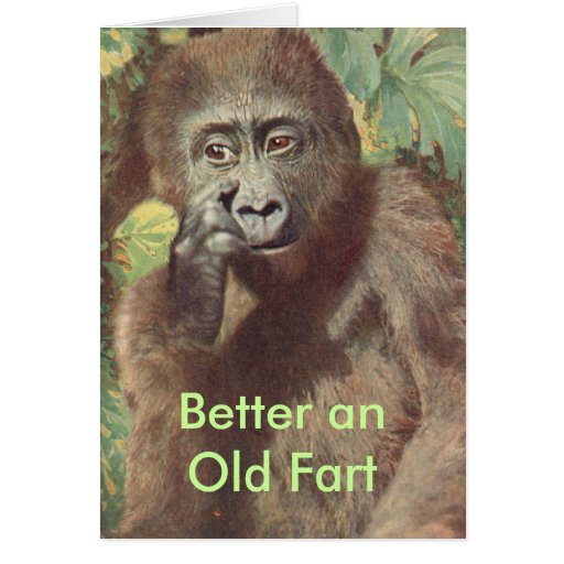 Humourous Birthday Card