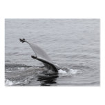 Humpback Whale Business Card