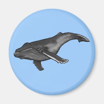 humpback whale fridge magnets