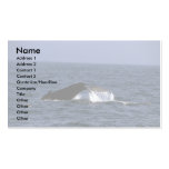 Humpback Whale Sounding (Tail Flukes) Business Card Template