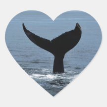 Humpback whale tail hart stickers