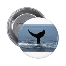 Humpback whale tail speldjes