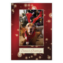 Hungarian Vizsla Christmas Card 008