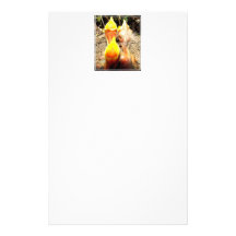 Hungry Baby Robins Stationery Paper