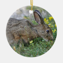 Hungry Bunny  Ornament