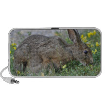 Hungry Bunny  Speakers