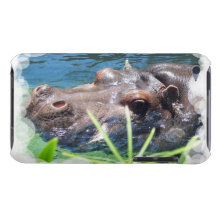 Hungry Hippo iTouch Case iPod Case-Mate Case