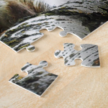 Hungry Squirrel Puzzle