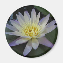 Hunter's Moon Refrigerator Magnet