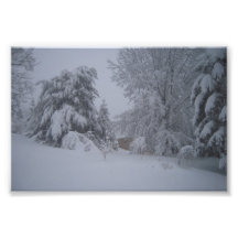 Hushed Snowfall Photo Art
