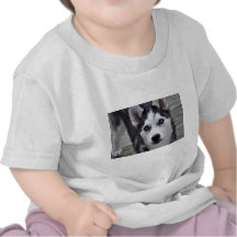 husky-99.jpg t shirts