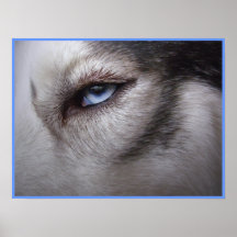 Husky Art Print Sled Dog Art Poster Husky Gifts