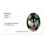 Husky Business Card