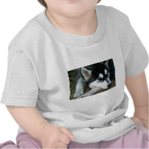 Husky Dog Tshirt