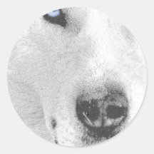 Husky Round Sticker